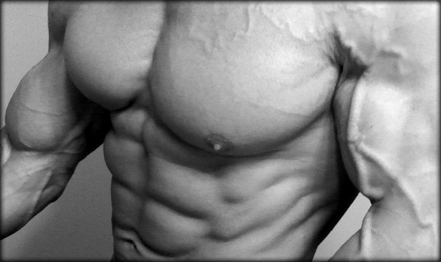 bodybuilder-torso