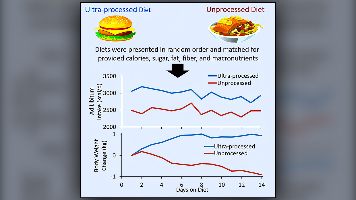 Diet Info Graphic