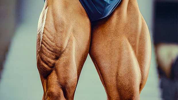 svinekød pinion forkæle How to Build Strong Quads, Even With Bad Knees