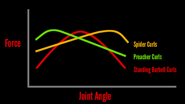 Joint Angle