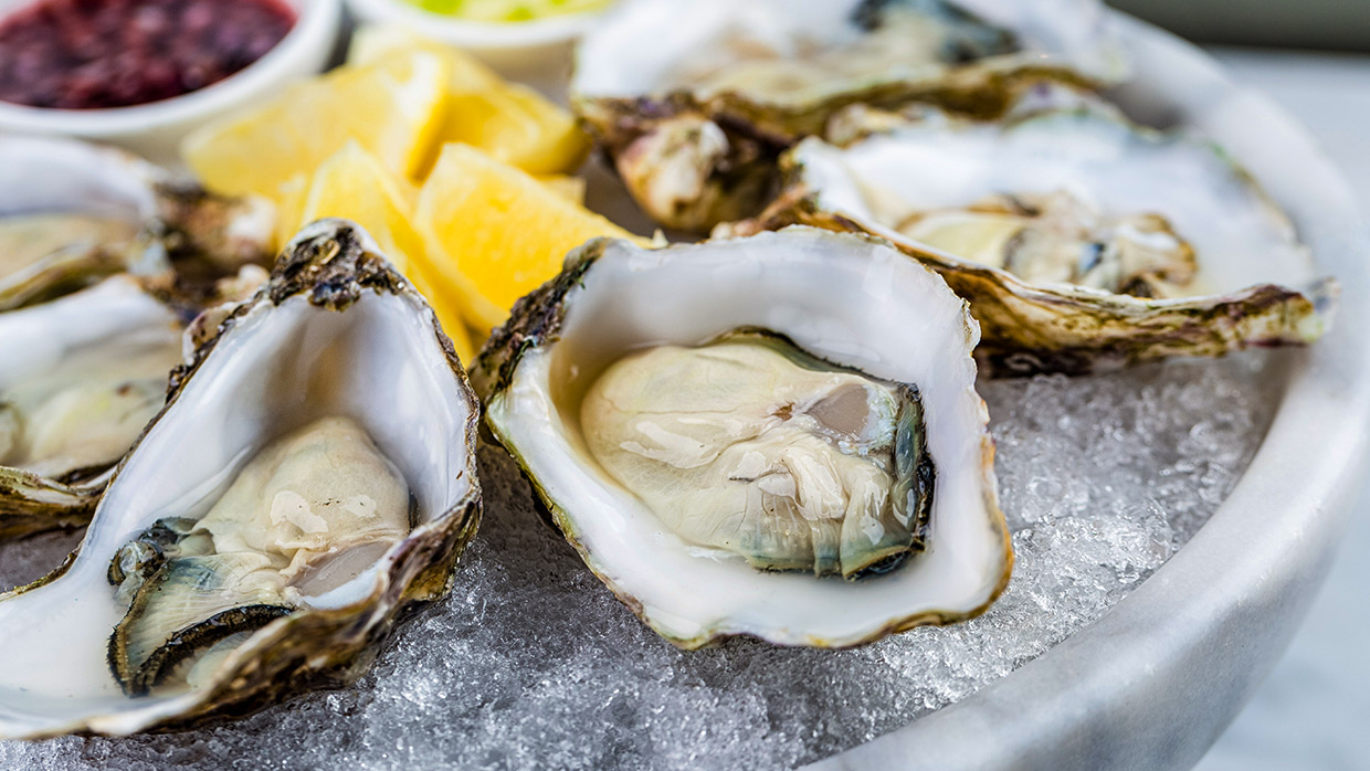Oysters Benefits